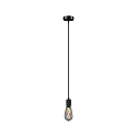 Paulmann pendant luminaire NEORDIC TILLA 1 flame E27 IP20, black dimmable