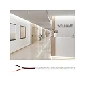 Paulmann LED Strip PRO STRIP GOLD P75