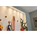 Paulmann LED modul COIN NOVA MINI PLUS LED 300lm 2700K 38° CRI >80 dæmpbar