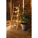 Paulmann Feelys MOBILE LAMPION med batteri, med USB-opladningsfunktion IP44, hvid
