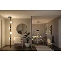 Paulmann LED systemlampe ULine PENDEL BALL Ø 15CM med diffuser, balleformet IP20, sort mat dæmpbar