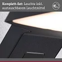 Paulmann Udendørs wall luminaire ZERENA med sensor, insektvenlig, havluftbestandig IP44, antracit 