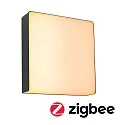 Paulmann Udendørs wall luminaire AZALENA med sensor, ZigBee styrbar, insektvenlig IP44, antracit, gennemsigtig dæmpbar
