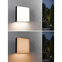 Paulmann Udendørs wall luminaire AZALENA med sensor, ZigBee styrbar, insektvenlig IP44, antracit, gennemsigtig dæmpbar