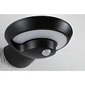 Paulmann Solar væglampe BOROLA PIR med sensor IP44, antracit, gennemsigtig 