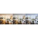 Paulmann Spot URAIL CONE tunable white, ZigBee styrbar GU10, chrom, chrom mat dæmpbar