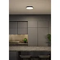 Paulmann Loftlampe AMALIE IP20, mat, sort dæmpbar