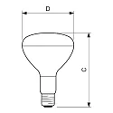 Philips Lys til planter IR CH R125 E27 dæmpbar