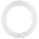 LED tube shape ESSENCE TUBE RING T9 C22 G10Q EM G10q 12W 4000K 120° CRI 80-89 