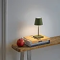 SIGOR battery table lamp NUINDIE MINI USB-C up / down, with USB connection, CCT Switch, with touch dimmer IP54, pine green dimmable