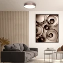 Steinhauer Loftlampe RINGLEDE LED rund LED IP20, bronze, hvid dæmpbar