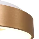 Steinhauer ceiling luminaire RINGLEDE - Ø 38CM round, medium, direct / indirect IP20, gold dimmable