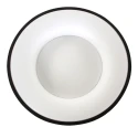 Steinhauer Loftlampe RINGLEDE - Ø 48CM stor, rund, direkte / indirekte IP20, sort mat dæmpbar