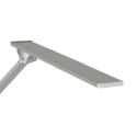 floor lamp SERENADE CCT Switch, adjustable, with touch dimmer IP20, brushed aluminium dimmable