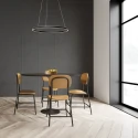 Steinhauer pendant luminaire RINGLUX LED IP20, black dimmable
