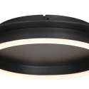 Steinhauer ceiling luminaire RINGLUX 1 flame IP20, black dimmable