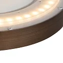 Steinhauer Loftlampe FLADY IP20, dæmpbar