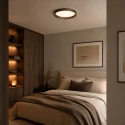 Steinhauer ceiling luminaire FLADY 2 flames IP20, bronze dimmable
