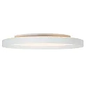 Steinhauer ceiling luminaire FLADY IP20, dimmable