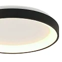 Steinhauer Loftlampe RINGLEDE IP20, sort dæmpbar