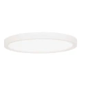 Steinhauer ceiling luminaire LUMINIX 1 flame IP44, white dimmable