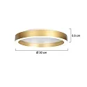 Steinhauer Loftlampe RINGLUX IP20, dæmpbar