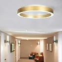 Steinhauer Loftlampe RINGLUX IP20, dæmpbar