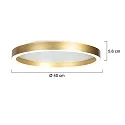 Steinhauer Loftlampe RINGLUX IP20, dæmpbar