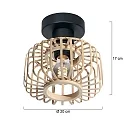 Steinhauer ceiling luminaire BLOEBA E27 IP20, dimmable