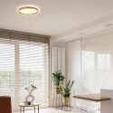 Steinhauer Loftlampe FLADY 2-flammer IP20, guld dæmpbar