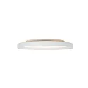 Steinhauer Loftlampe FLADY IP20, dæmpbar