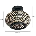 Steinhauer Loftlampe BLOEBA E27 IP20, dæmpbar