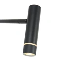 Steinhauer floor lamp VOLARI 1 flame IP20, black dimmable