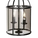 Steinhauer pendant luminaire PIMPERNEL 2 flames E14 IP20, black dimmable