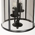 Steinhauer pendant luminaire PIMPERNEL 2 flames E14 IP20, black dimmable