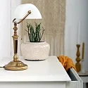 Steinhauer Steinhauer Bordlampe ANCILLA, 1-flamme, glas hvid, bronze