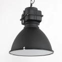 Mexlite Mexlite Pendant luminaire DENSI, 1 flame, black