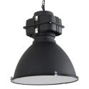 Mexlite Mexlite Pendant luminaire DENSI, 1 flame, black