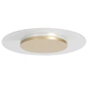 Loftlampe LIDO 1-flamme IP20, guld dæmpbar
