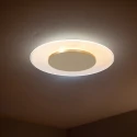 Steinhauer Loftlampe LIDO 1-flamme IP20, guld dæmpbar