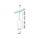 Wever & Ducré Pendant luminaire RAY 3.0 PAR 16 for 3-phase tracks, GU10 max. 12W, incl. adapter, gold