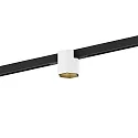 Skinne spot HEXO ON STREX 1.0 med adapter IP20, guld, sort mat, hvid mat 