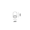 Wever & Ducré Udendørs loftlampe TUBE 1.0 PAR16 down, cylindrisk, stiv GU10 IP65, bronze