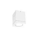 Udendørs loftlampe TUBE 1.0 LED PHASE down, cylindrisk, stiv IP65, hvid mat dæmpbar
