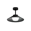 Udendørs loftlampe TRADORA IP65 1.0 IP65, sort mat dæmpbar