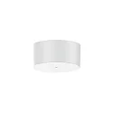 Loftsroset 1-fold, hvid