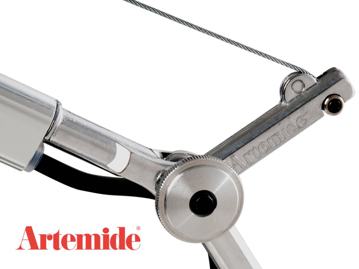 Artemide�